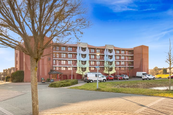 Foto 35 van Pieter acker 57