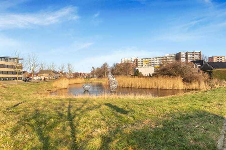 Foto 41 van Pieter acker 57