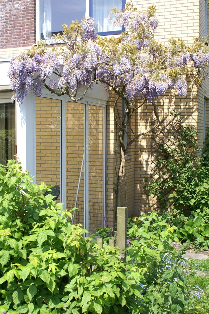 Foto 47 van Lisdoddeveld 28