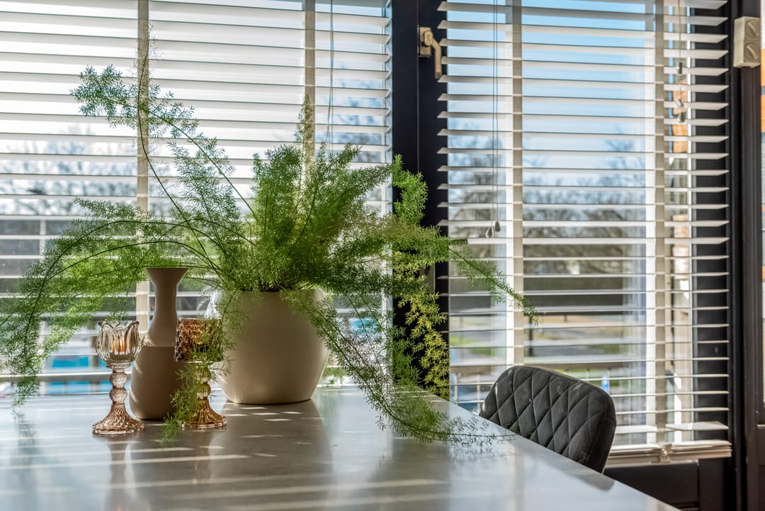 Foto 13 van Cloekplein 6