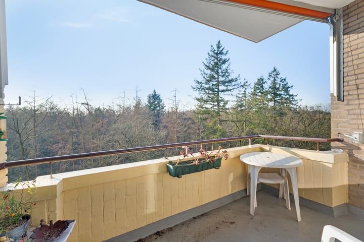 Foto 14 van Soerenseweg 125-68