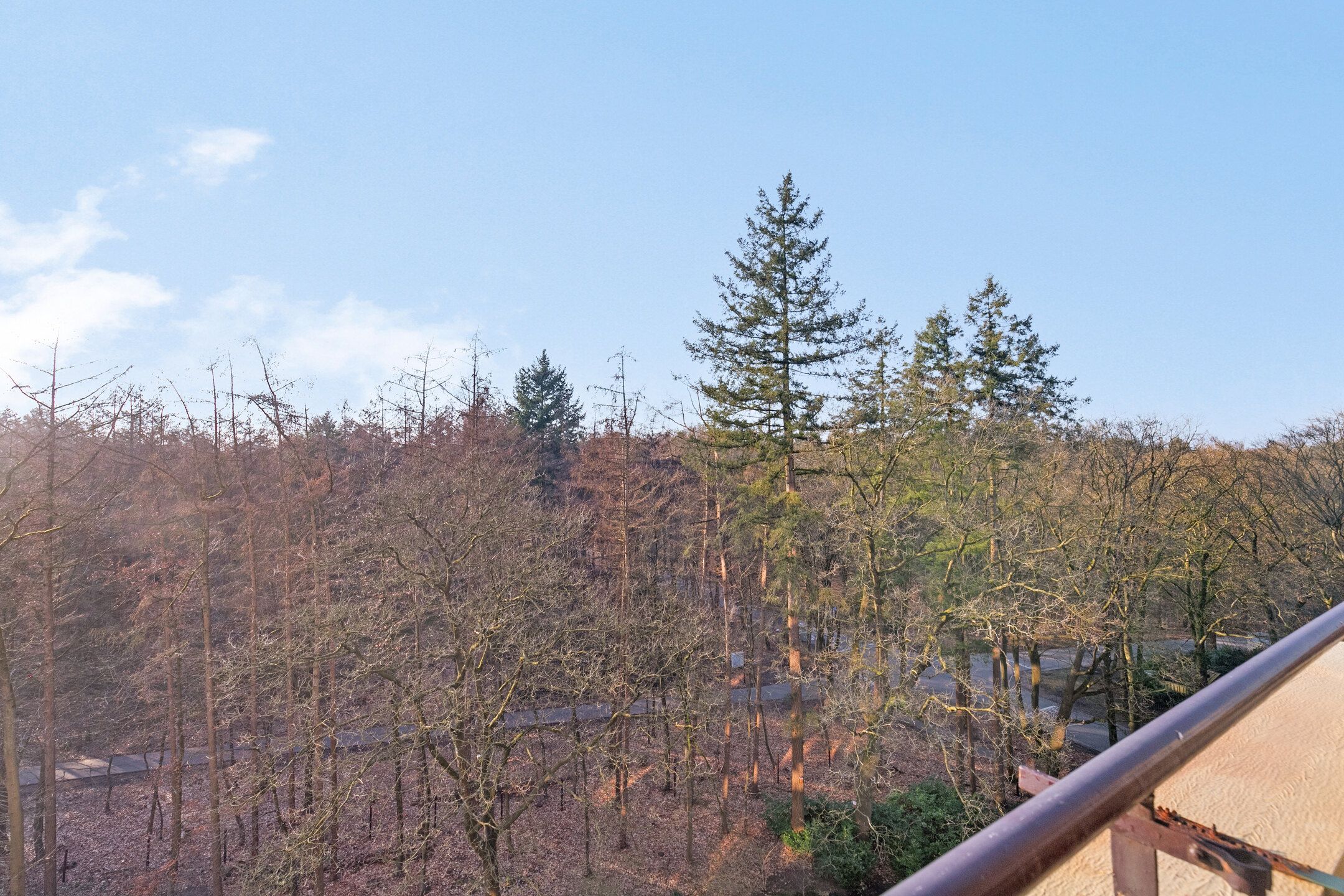 Photo 15 of Soerenseweg 125-68