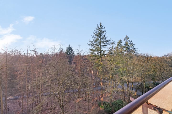 Foto 15 van Soerenseweg 125-68