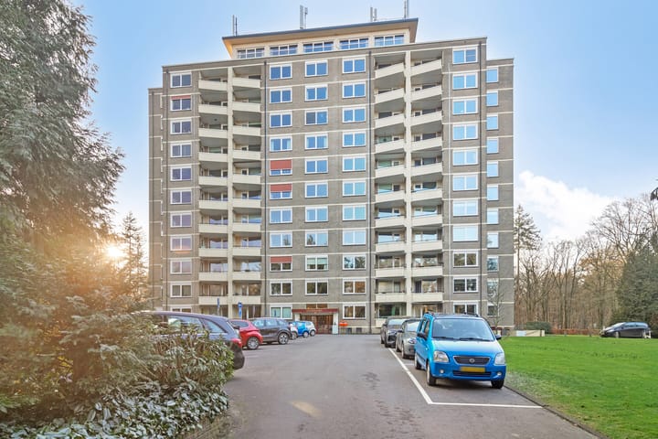 Foto 23 van Soerenseweg 125-68