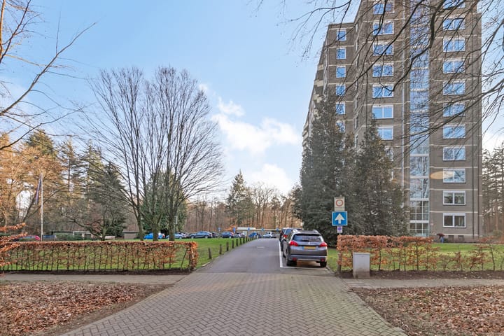 Foto 27 van Soerenseweg 125-68