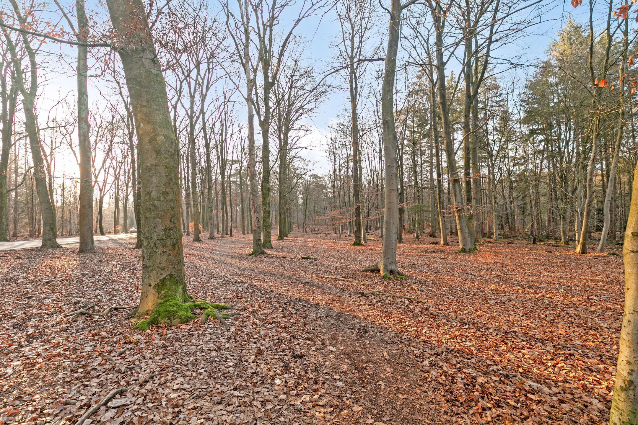 Photo 30 of Soerenseweg 125-68