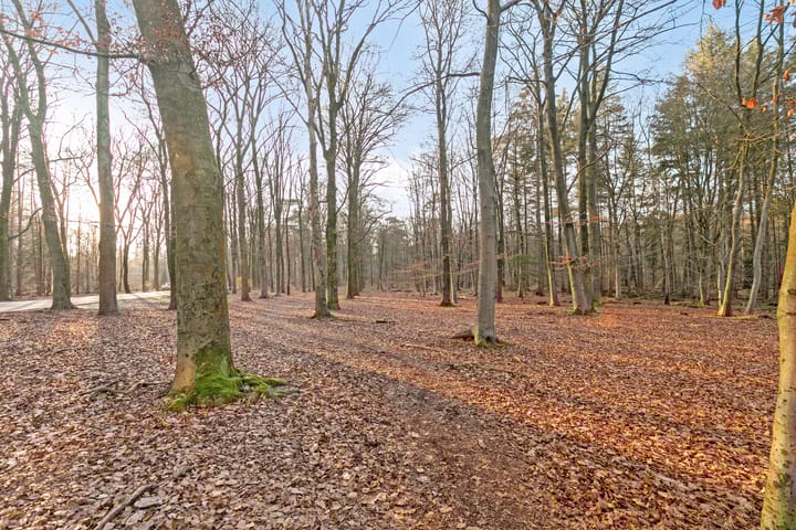 Foto 30 van Soerenseweg 125-68