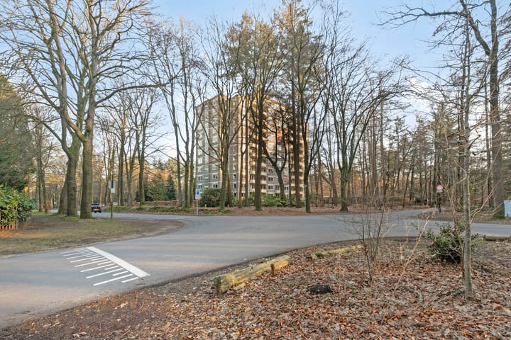 Foto 29 van Soerenseweg 125-68