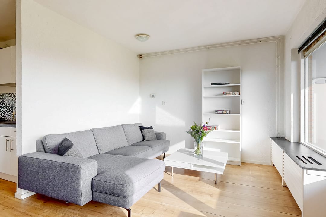 Foto 8 van Poolster 152