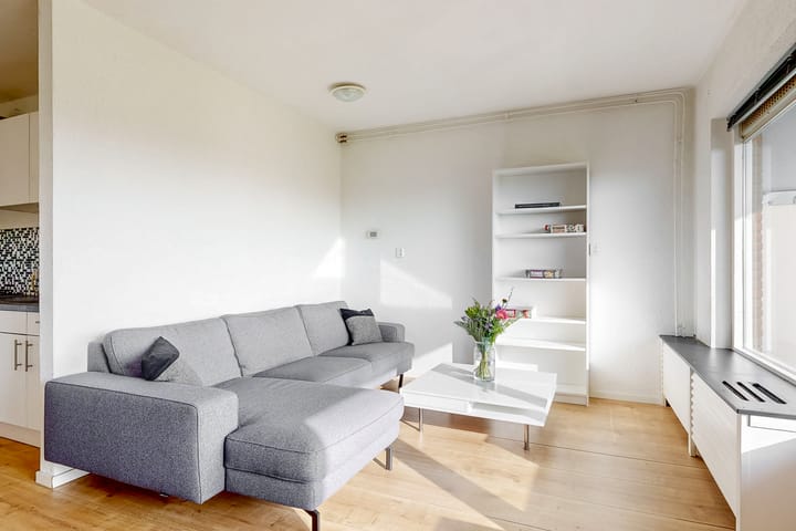 Foto 8 van Poolster 152