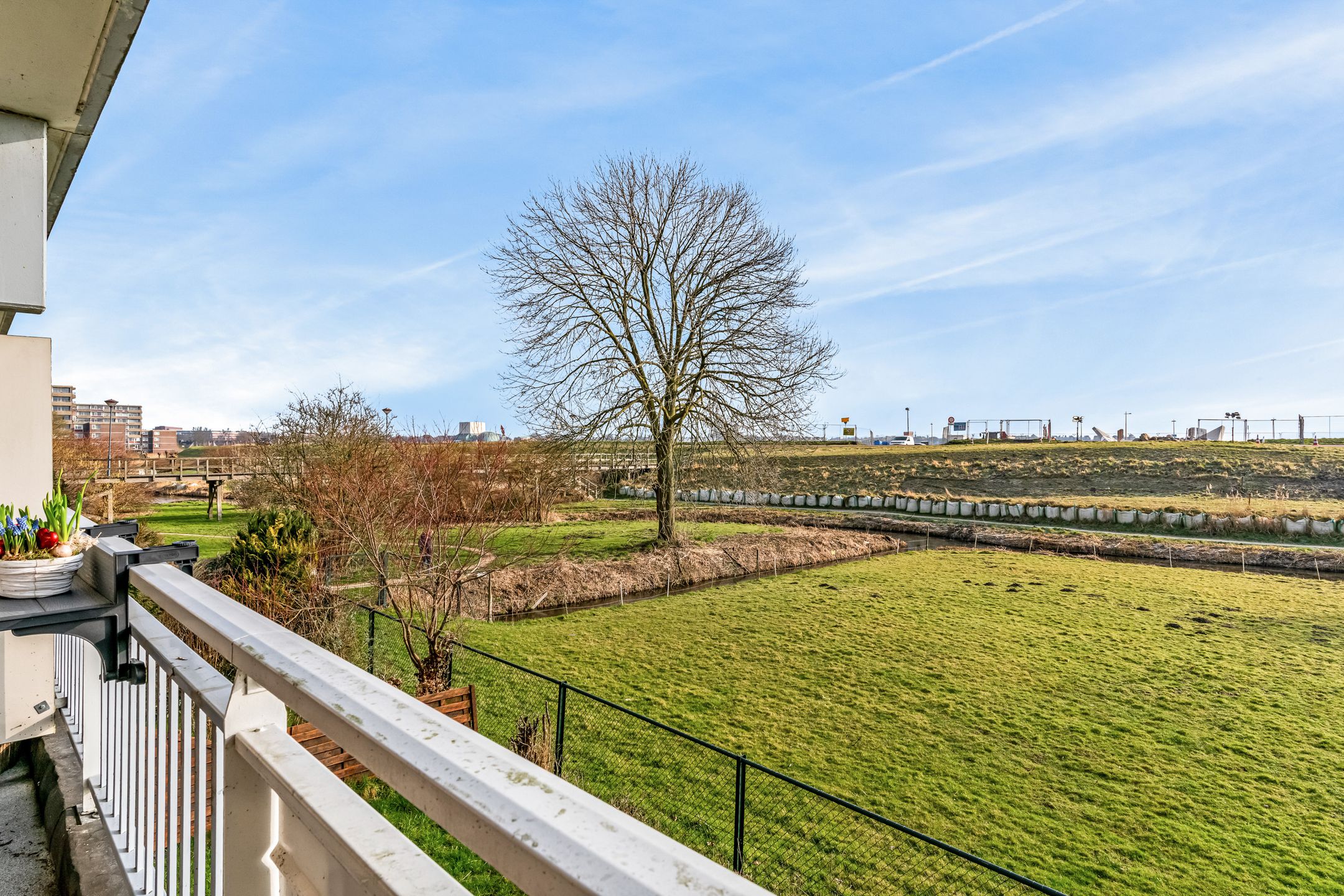 Foto 18 van Poolster 152