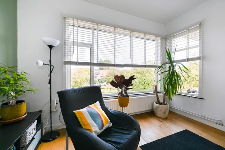 Foto 4 van Laan van Nieuw Oosteinde 288