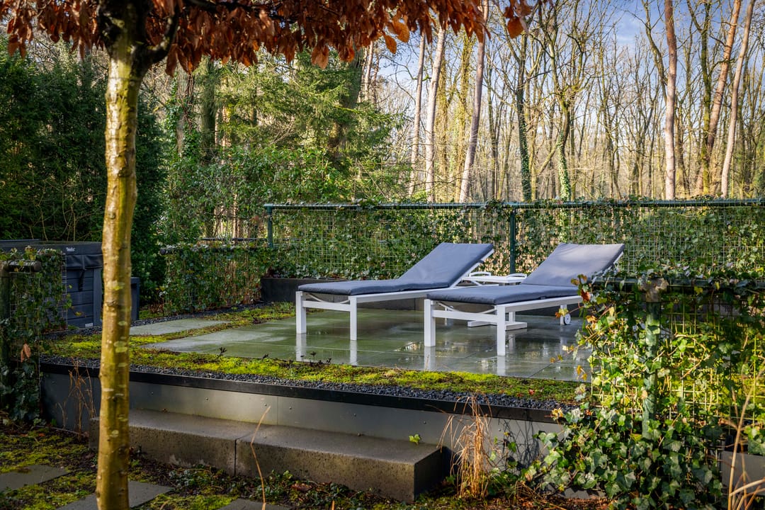 Photo 43 of Zomeroord 36