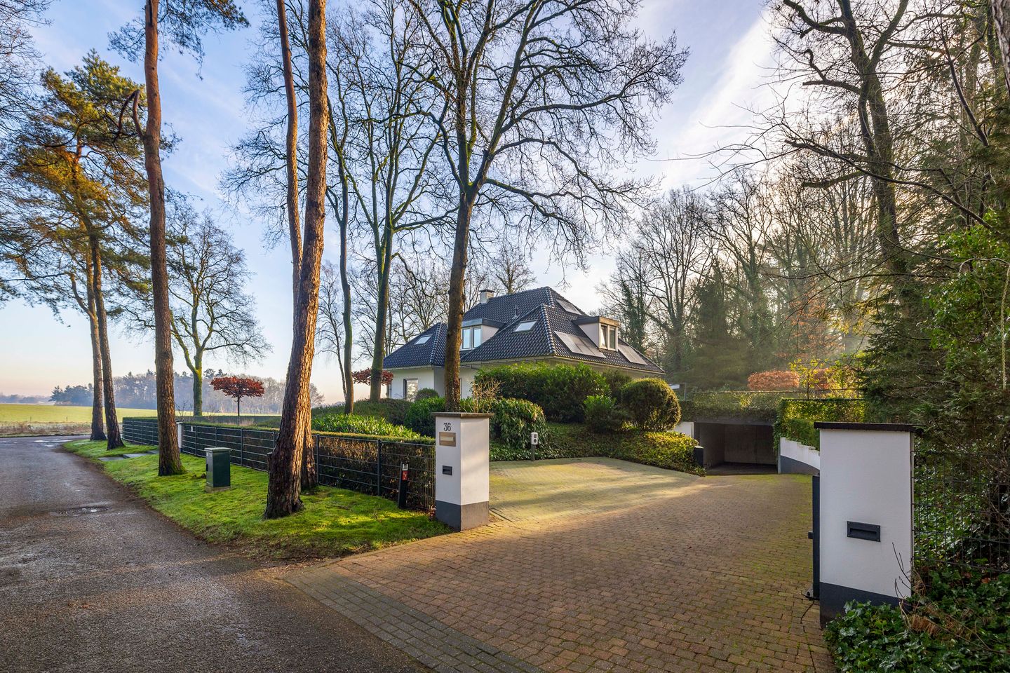 Photo 49 of Zomeroord 36