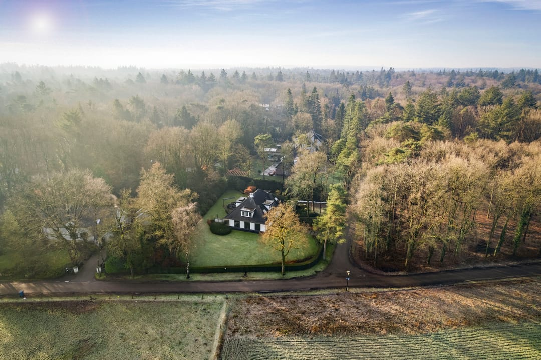 Photo 53 of Zomeroord 36