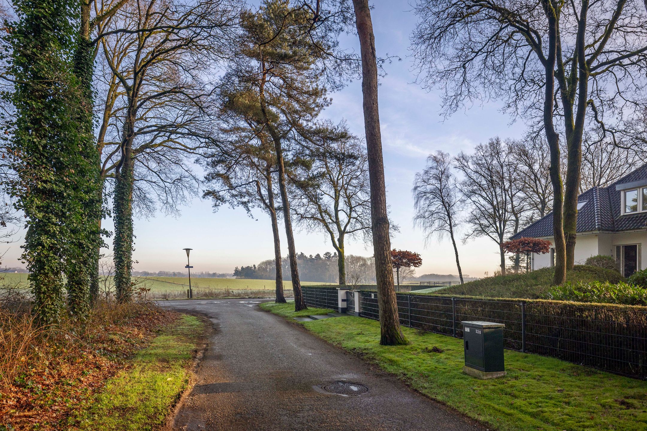 Photo 54 of Zomeroord 36