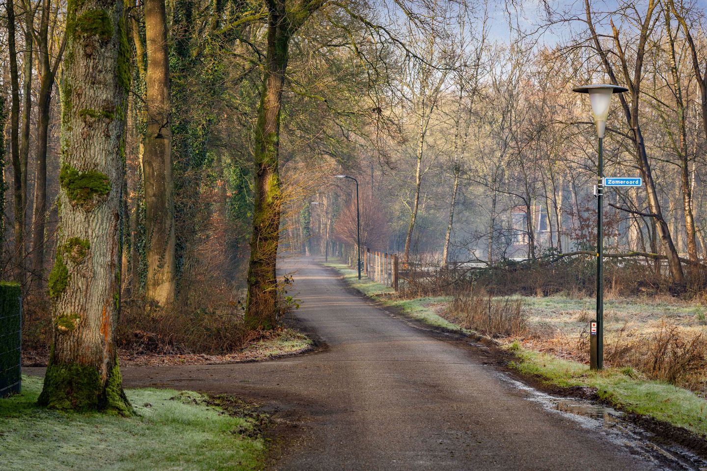 Photo 55 of Zomeroord 36