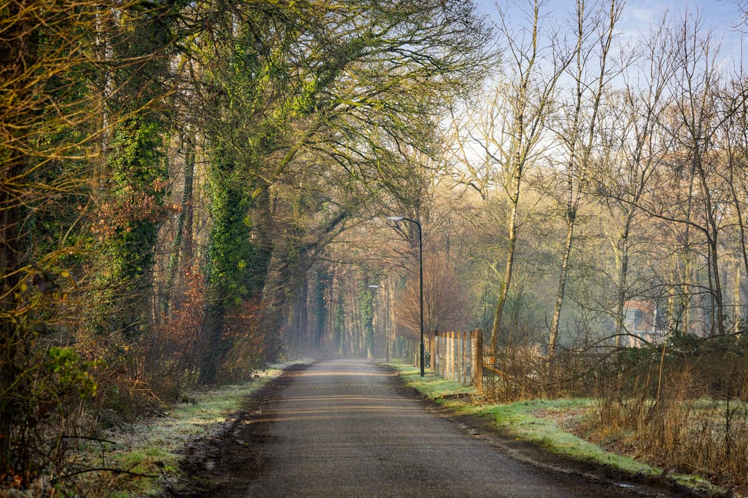 Photo 56 of Zomeroord 36