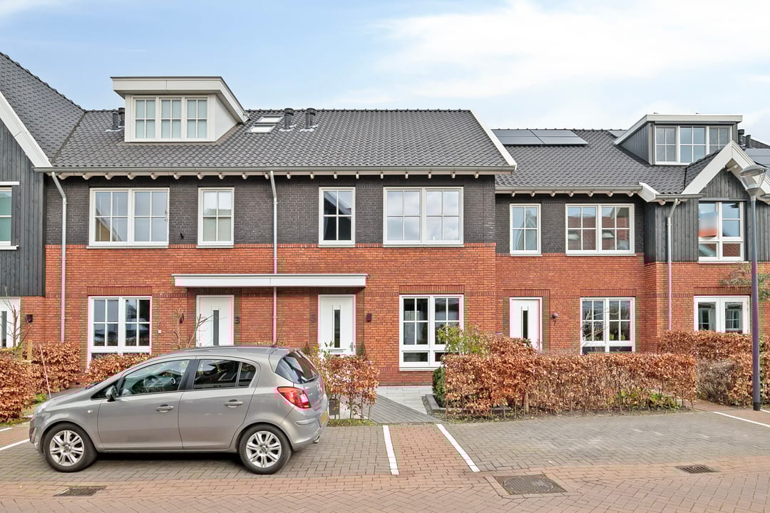 Foto 1 van Witte Kwikstaartlande 5