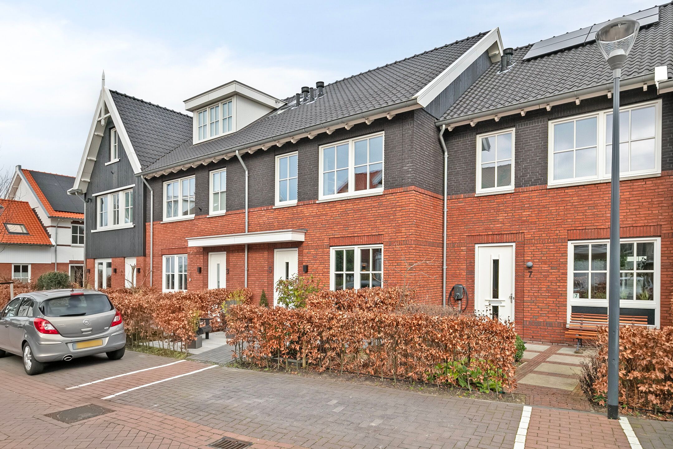 Foto 6 van Witte Kwikstaartlande 5