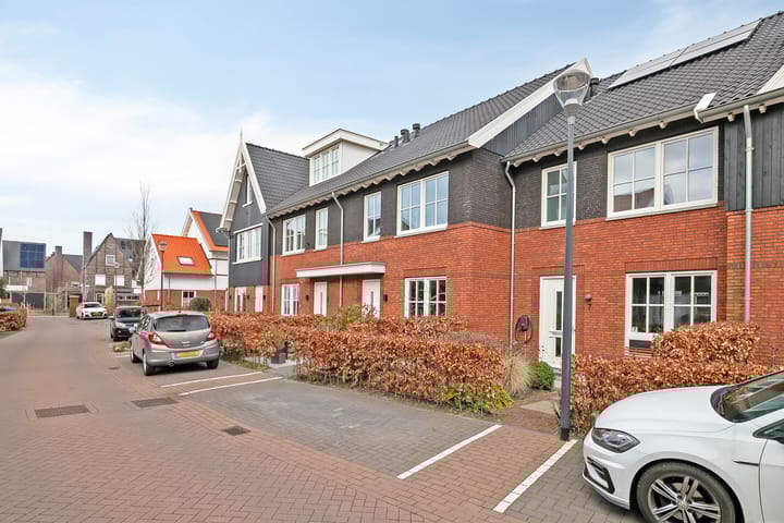 Foto 7 van Witte Kwikstaartlande 5