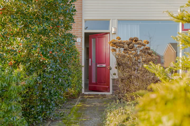 Foto 6 van Uitvliet 2