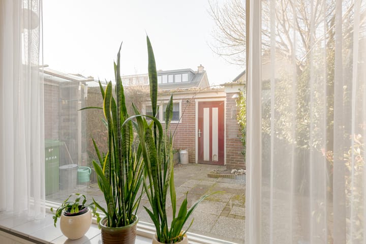 Foto 15 van Uitvliet 2