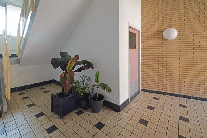 Foto 10 van 2e Middellandstraat 52