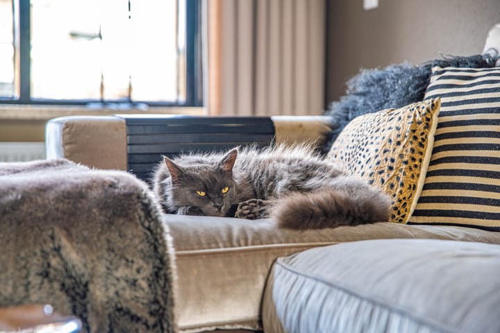 Foto 15 van Konijnenwal 11