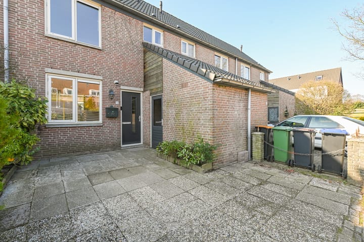 Foto 2 van Lisdodde 5