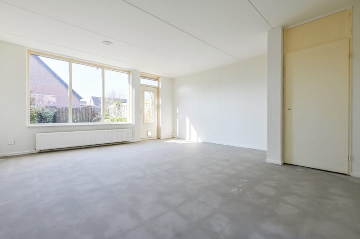 Foto 3 van Lisdodde 5