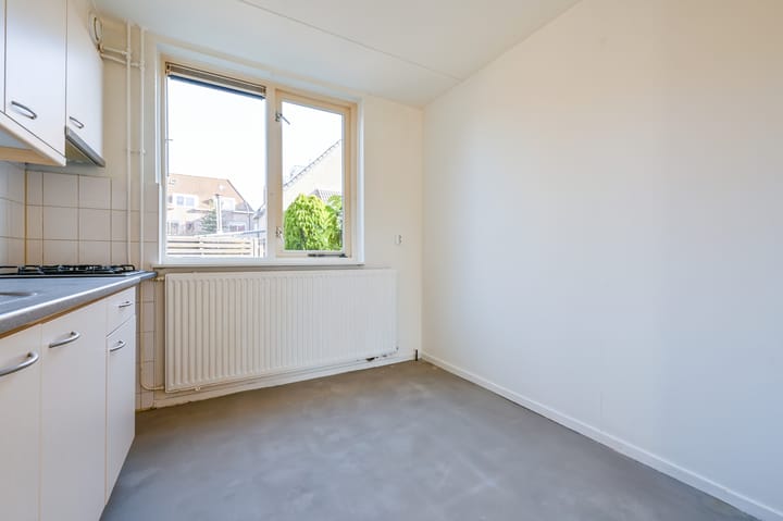 Foto 9 van Lisdodde 5