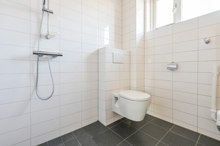 Foto 16 van Lisdodde 5