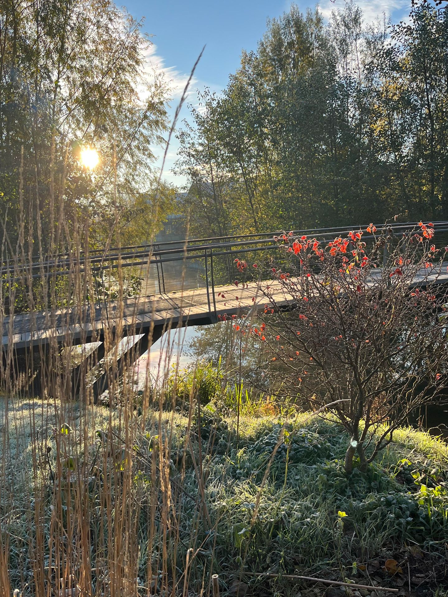 Photo 40 of Vincent van Goghstraat 9