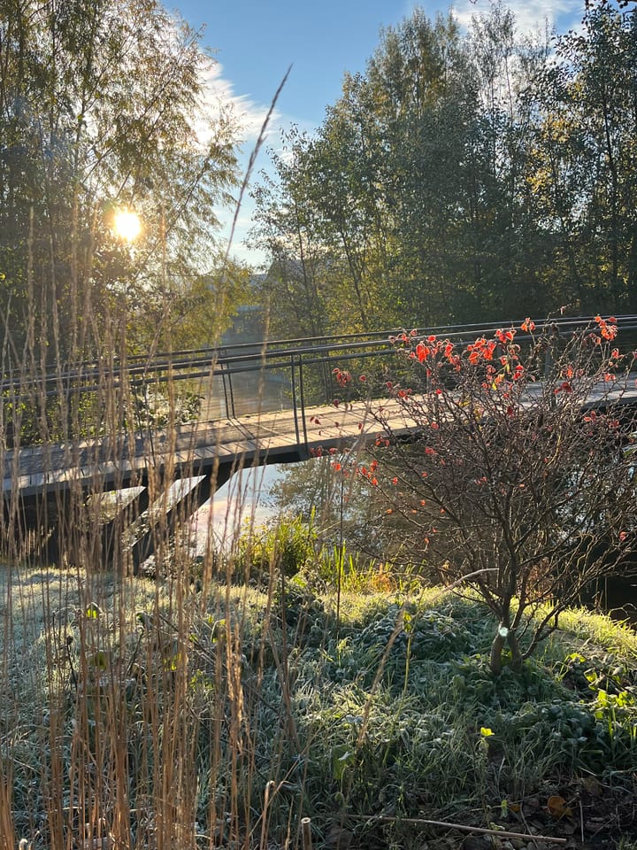 Foto 40 van Vincent van Goghstraat 9