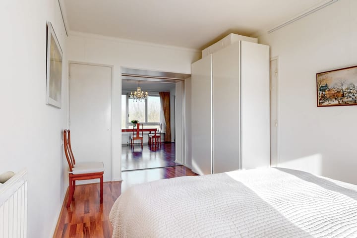 Foto 11 van Parelmoerhorst 350