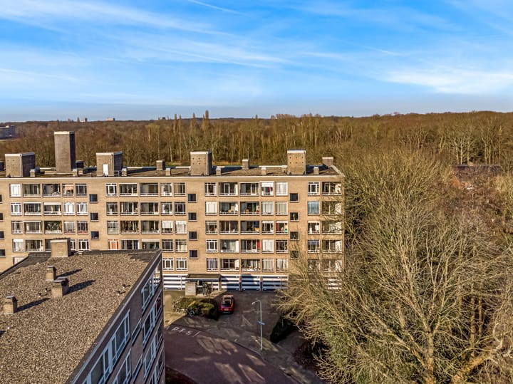 Foto 25 van Parelmoerhorst 350