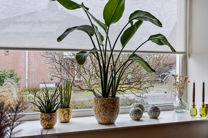 Foto 15 van Klompenmakersstraat 41