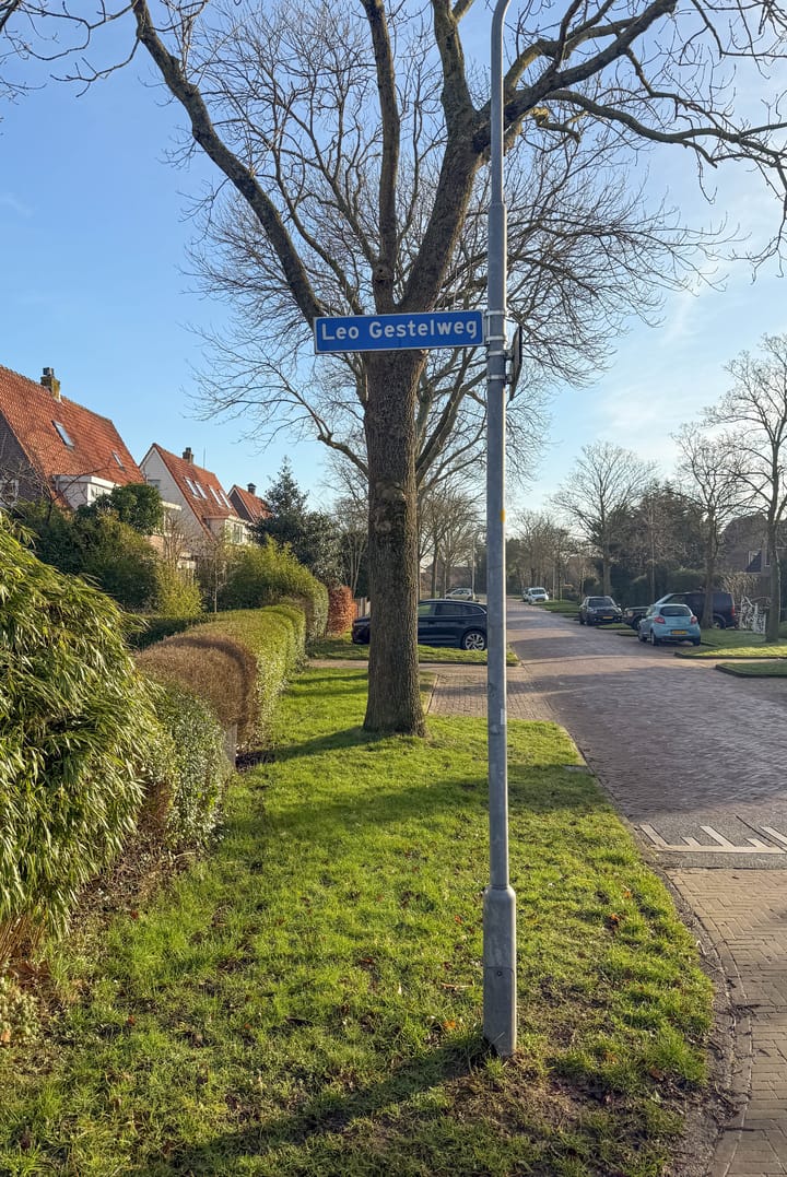 Foto 53 van Leo Gestelweg 7