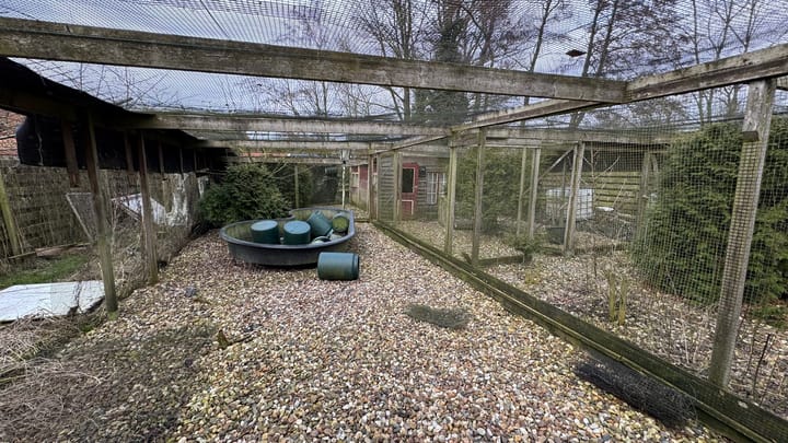 Photo 19 of Ganzedijk 30