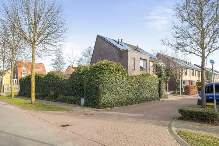 Foto 4 van Groenling 9