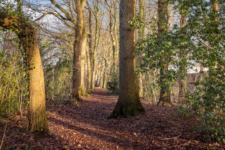 Foto 31 van Bloemengaard 63