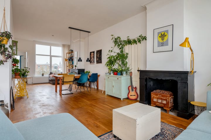 Foto 18 van Anton de Haenstraat 8