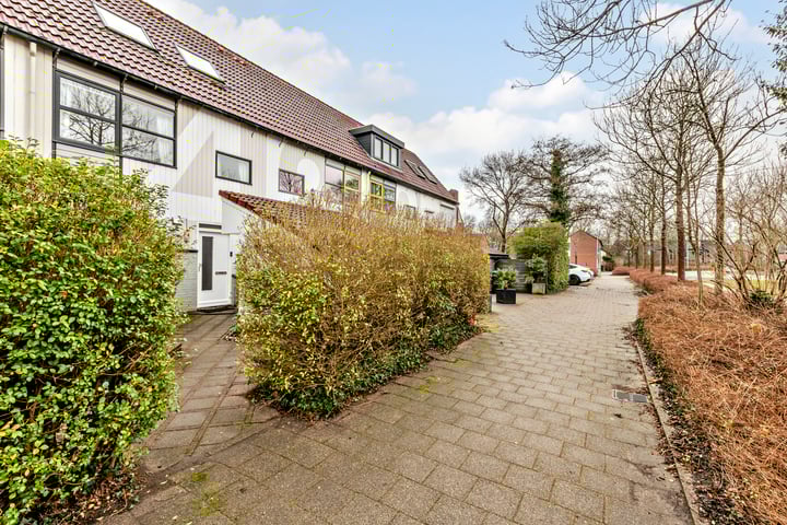 Bekijk foto van Burijnstraat 4