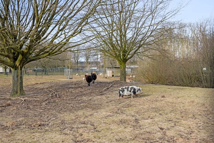 Foto 48 van Reggestraat 19