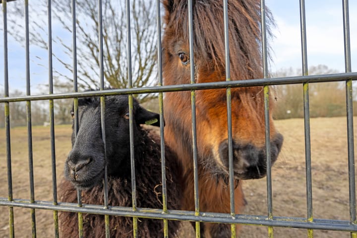 Foto 49 van Reggestraat 19