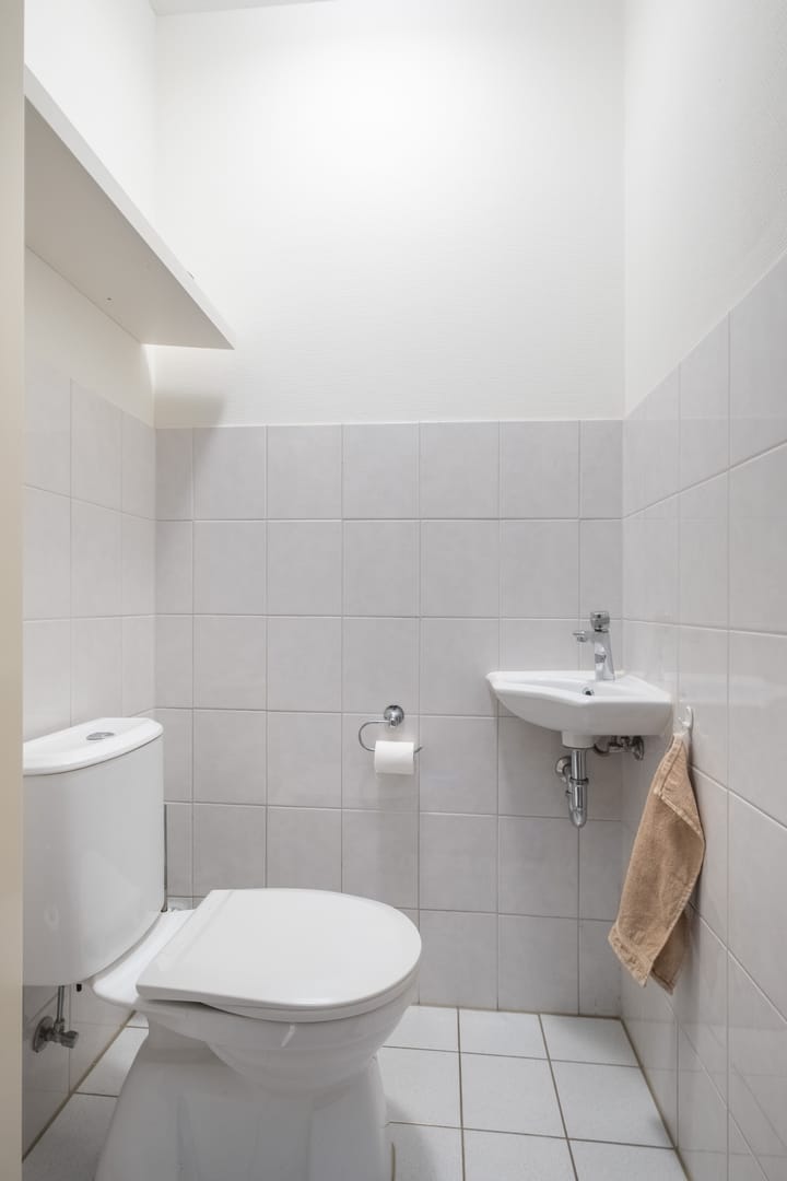 Foto 21 van Bote van Bolswertstraat 3-K