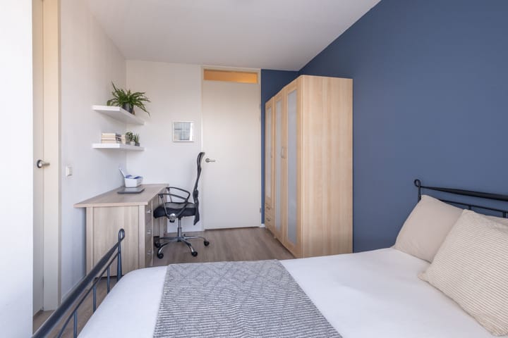 Foto 25 van Bote van Bolswertstraat 3-K