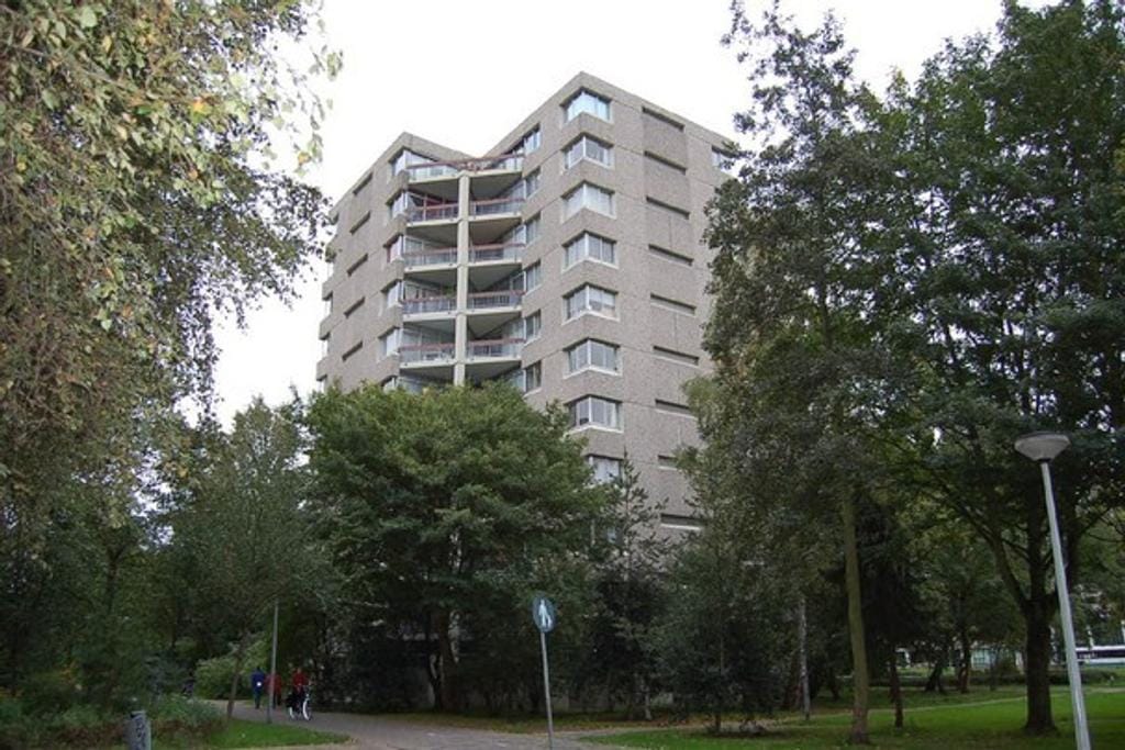 Photo 1 of Gouden Leeuw 206