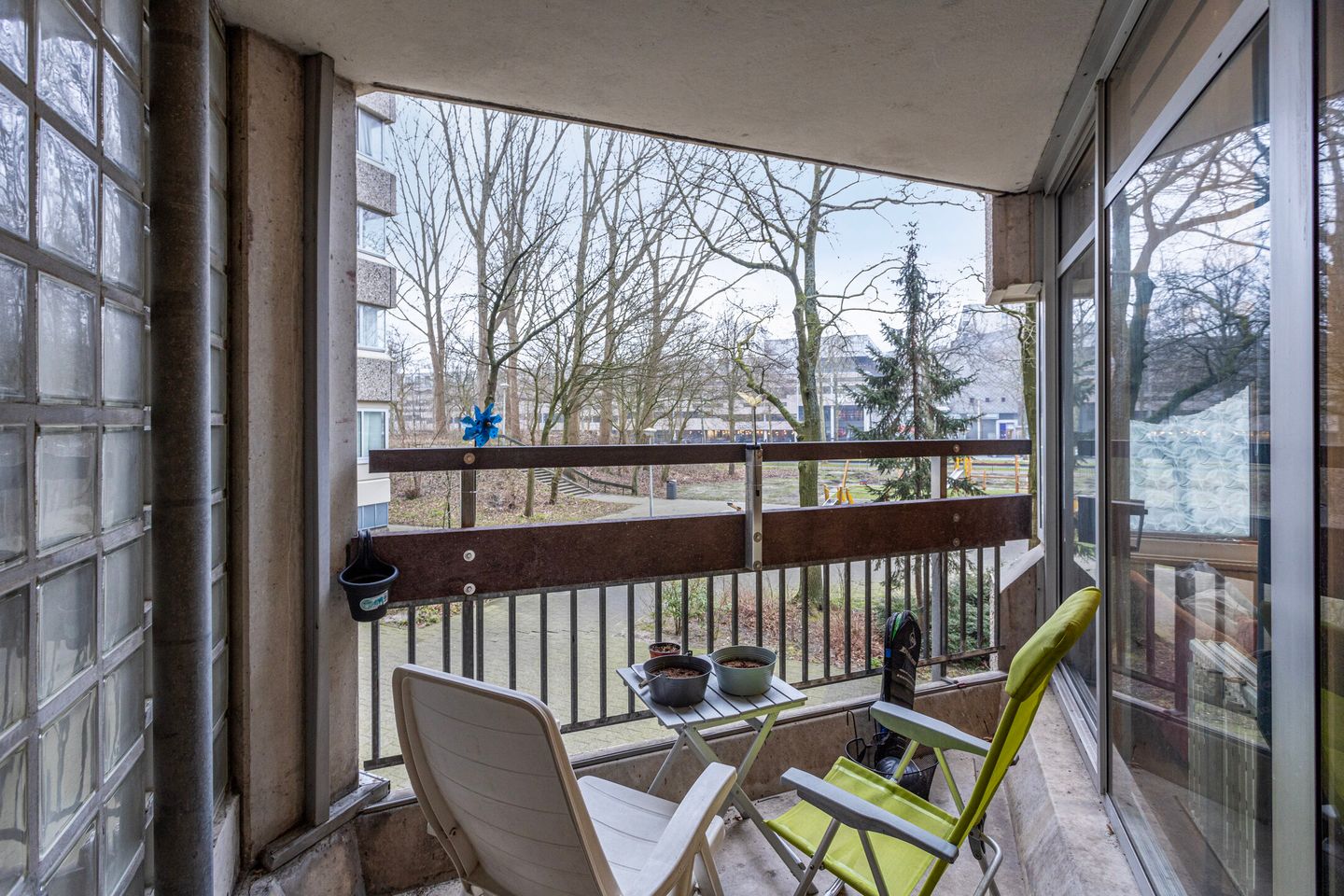 Photo 5 of Gouden Leeuw 206